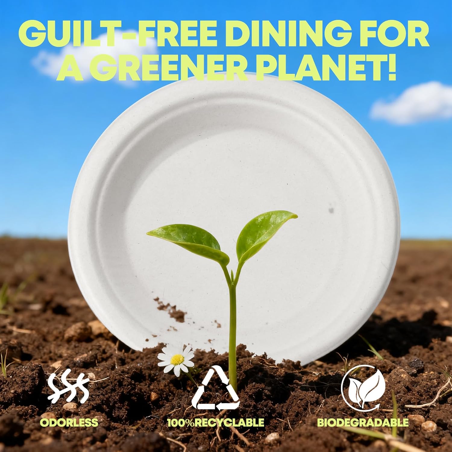 W&Y 100 Pack Heavy Duty 6 Inch Disposable Paper Plates - Compostable & Microwave-Safe for Parties & Picnics