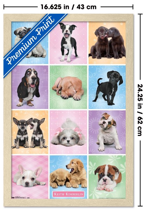 Keith Kimberlin - Puppies - Cuties Grid Wall Poster, 22.4L" x 14.7W", Blonde Framed Version