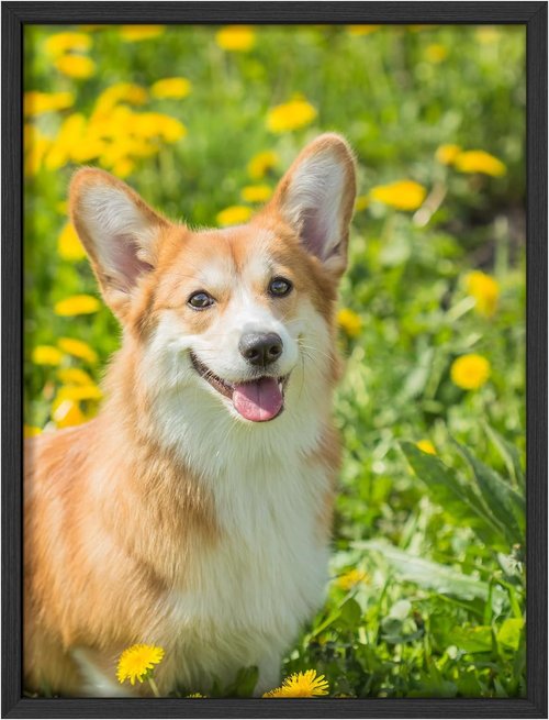 Custom Framed Poster Prints | Personalized Canvas Pictures for Wall - 12"x16" Black