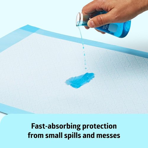 Medline Light Absorbency Underpad - Disposable Chucks for Bed & Furniture Protection | 17" x 24", 100 Count