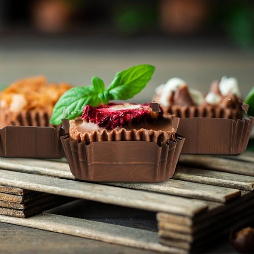 Maxcheck Square Cupcake Liners - 300 Pcs 2.36 Inches Brownie Baking Cups | Woodland Pattern for Parties