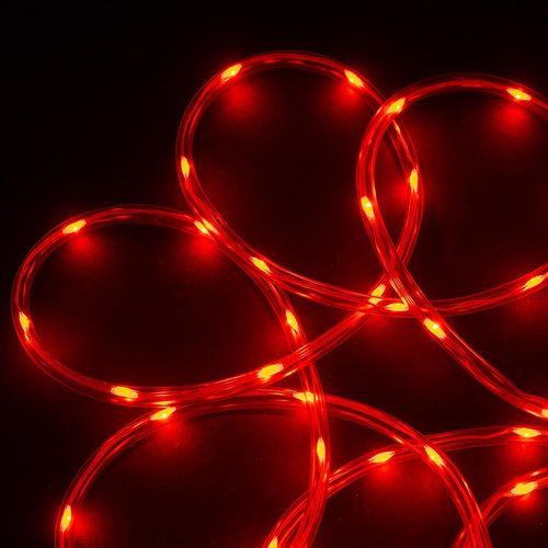 WYZworks 100ft Red LED Outside Rope Light - 8 Modes, Waterproof Permanent Outdoor Accent Lighting w/Remote, Flexible Clear Tube, ETL Certified, Garden, Patio, Holiday Christmas, Palm Tree, Ambient