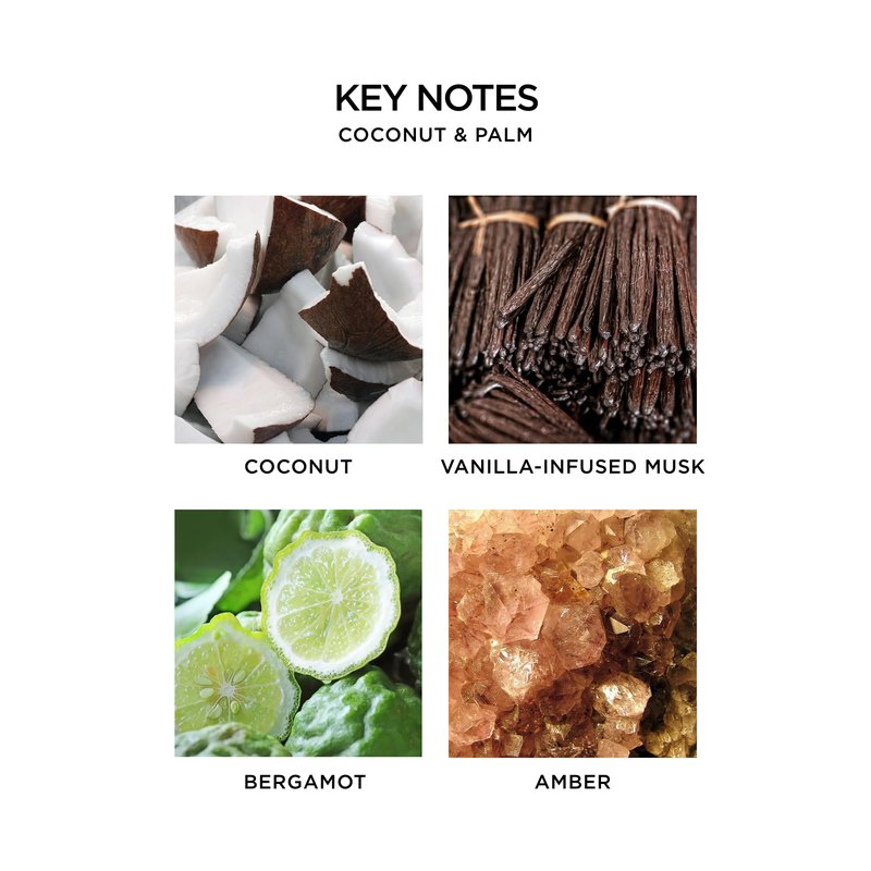 NEST New York Smart Home Fragrance Diffuser Refill Smart Vials, Coconut & Palm - Set of 2 - Designed for NEST x Pura 3 and NEST x Pura 4 Diffusers - Cruelty Free, Vegan