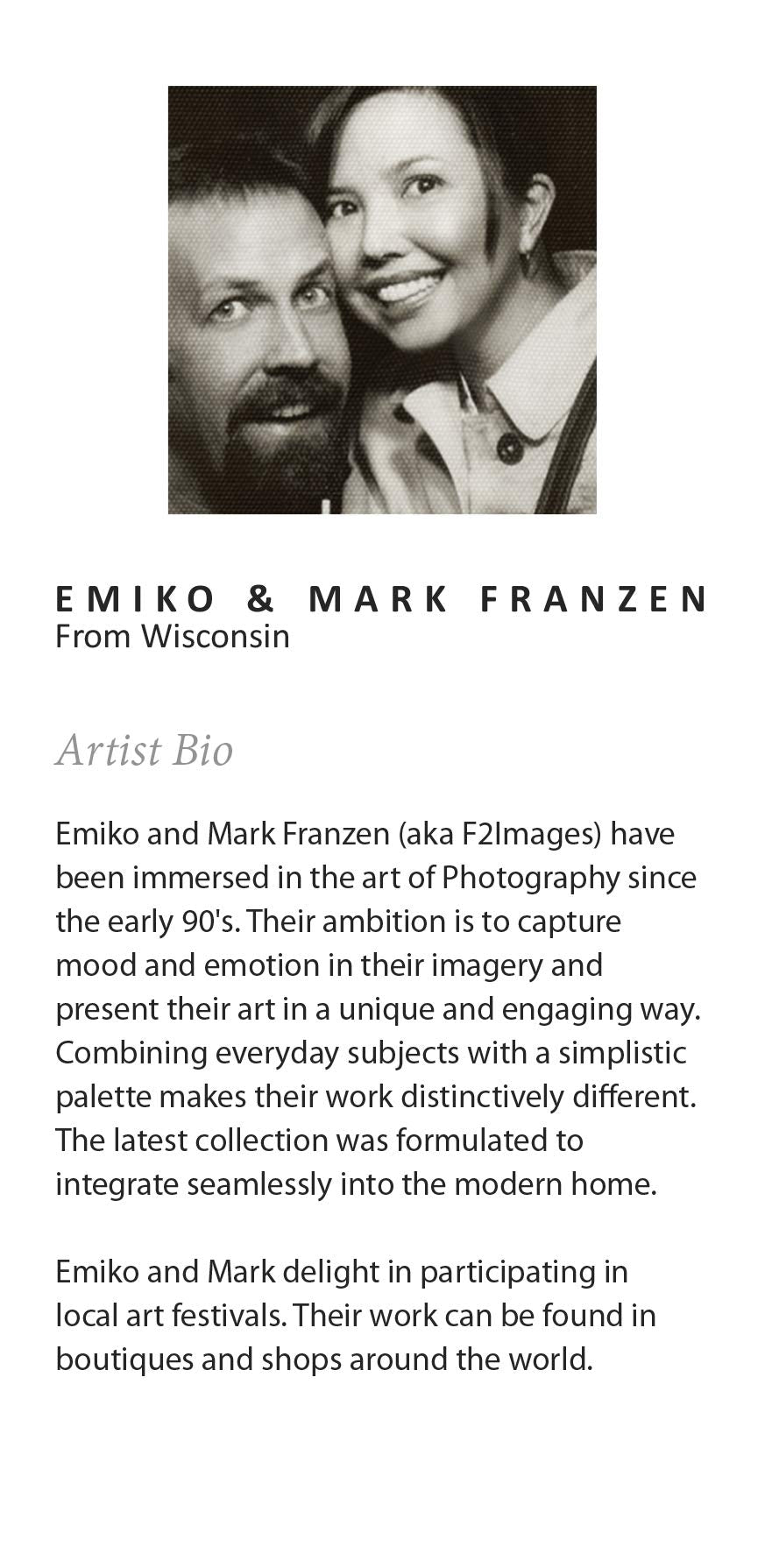 Kate and Laurel Sylvie Agave II Framed Canvas Wall Art by F2Images, 23x33 White, Modern Succulent Wall Decor