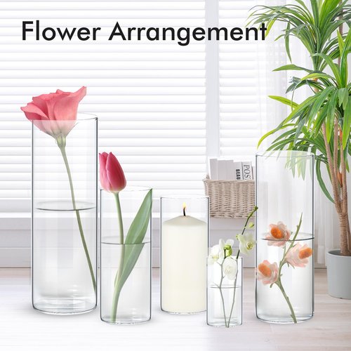 Fgail 20 Pack Clear Glass Vases for Centerpieces, Cylinder Vase Set, 4,6,8,10,12 Inch Tall Flower Vase for Home Decor, Flower Vase for Table Decorative & Hurricane Floating Candle Holders