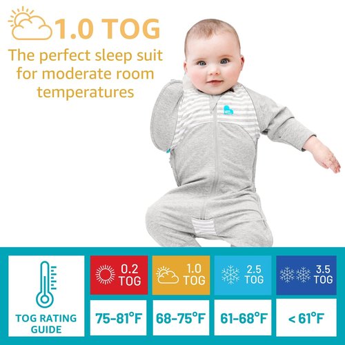 Love to Dream Swaddle UP Transition Bag - Warm Pink Silly Goose, Extra Large, 24-32 lbs, Zip-Off Wings for Safe Transition