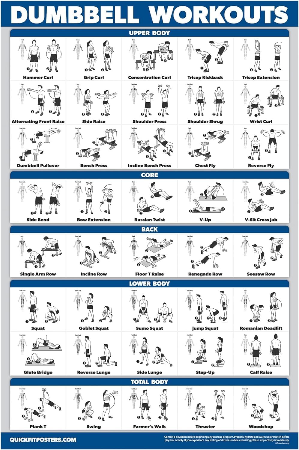 Palace Learning Dumbbell Workout Poster - Free Weight Bodybuilding Guide | Laminated Home Gym Chart - 18" x 24"