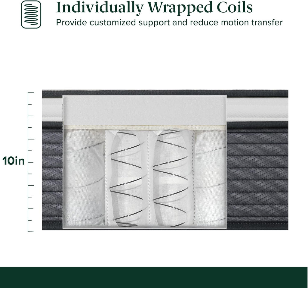 ZINUS 10 Inch True Support Hybrid Mattress - Queen Size | Fiberglass Free, Medium Feel, Motion Isolation