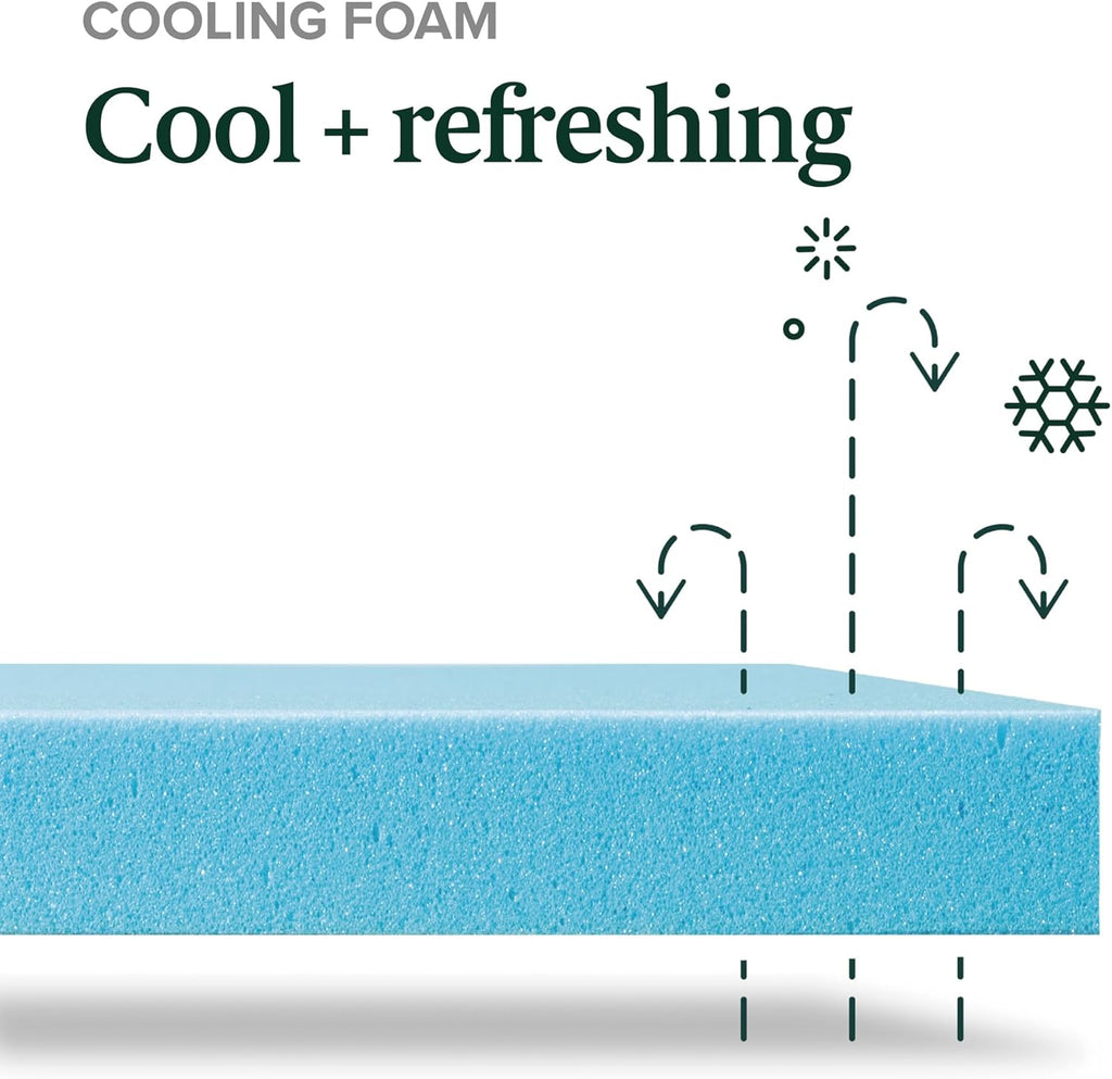 Zinus 12 Inch Green Tea Memory Foam Mattress - Cooling Gel, Medium Firmness, Queen Size, Fiberglass Free