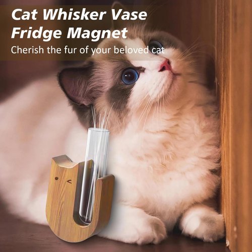 2pcs Cute mini vase Magnets for Fridge - Tiny Cat Whisker Holder, Tiny vase Fridge Magnets | Perfect for Fresh Flowers, Cat Whisker，Herbs, & Makeup Brushes