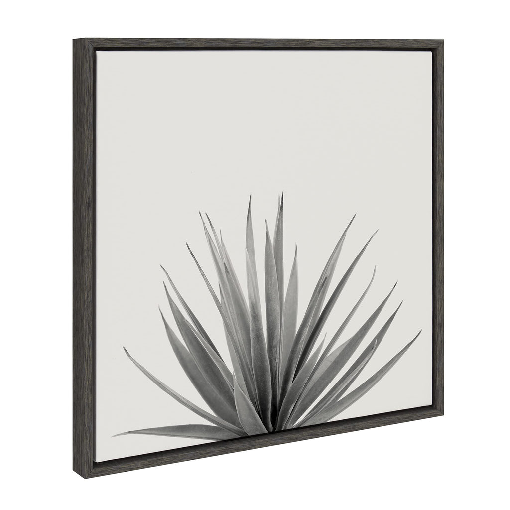 Kate and Laurel Sylvie Haze Agave Succulent Framed Canvas Wall Art by The Creative Bunch Studio, 22x22 Gray, Decorative Succulent Art for Wall