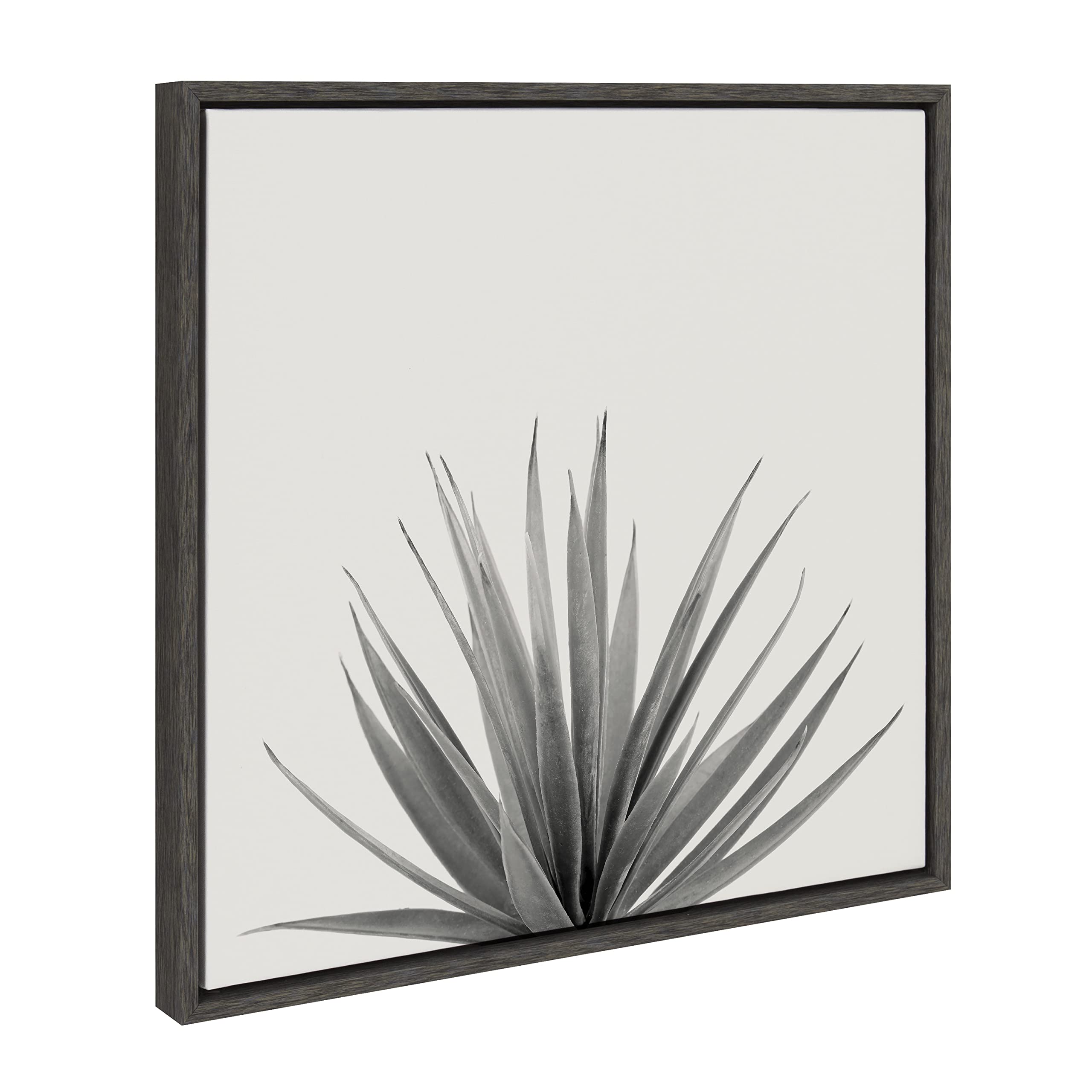 Kate and Laurel Sylvie Haze Agave Succulent Framed Canvas Wall Art by The Creative Bunch Studio, 22x22 Gray, Decorative Succulent Art for Wall