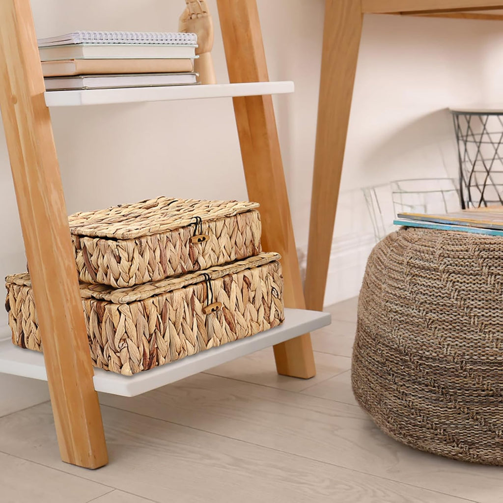 Regine Switzerland Handwoven Shelf Basket Set - Natural Water Hyacinth Bins with Lids for Stylish Home Organization