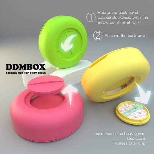 DDMBOX Modern Keepsake Box, Shell-Shaped Design, Waterproof, Sturdy, Flip Top, Green, For Storage