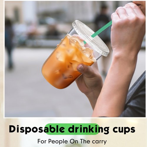 Baderke 25 Sets Clear Plastic Cups with Lids and Straws Disposable Plastic Iced Coffee Cups for Cold Beverage Juice Smoothie Coffee and Party Catering (16 oz)