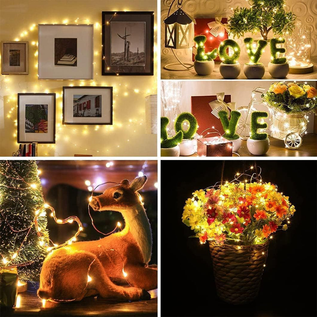 Skiennix 24 Pack Fairy Lights - Battery Operated 7FT Waterproof Silver Wire String Lights for Indoor/Outdoor Decor
