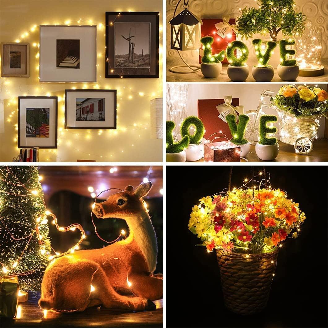 Skiennix 24 Pack Fairy Lights - Battery Operated 7FT Waterproof Silver Wire String Lights for Indoor/Outdoor Decor