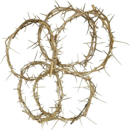 Bethlehem Gifts TM Life-Size Crown of Thorns Replica | Authentic Holy Land Design (4")