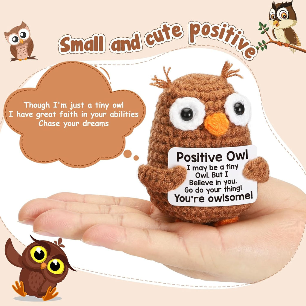 Owl Graduation Gifts - Inspirational 2026 Keepsake for Teens, Friends & Teachers | Perfect for Birthdays & Mother's Day