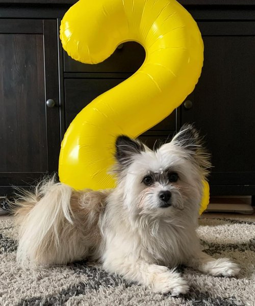 40 Inch Yellow Number 4 Balloon by [Brand Name] - Perfect for Birthdays, Graduations & Weddings