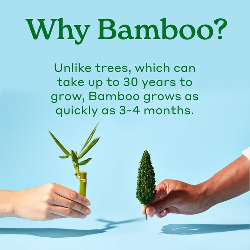 Caboo Disposable Bamboo Paper Plates, 125 Pack of 10 Inch Sturdy Biodegradable Plates, Compostable Plate, Microwave Safe Party Plate, Eco Friendly Alternative to Plastic