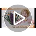 120-Piece Dried Eucalyptus and Lavender Bouquet for Shower Home Decor