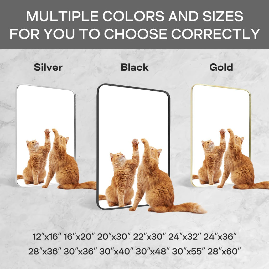 Regine Switzerland Black Framed Bathroom Mirror - Matte Rounded Corner Vanity Mirror | 24" x 32", Anti-Rust, Tempered Glass