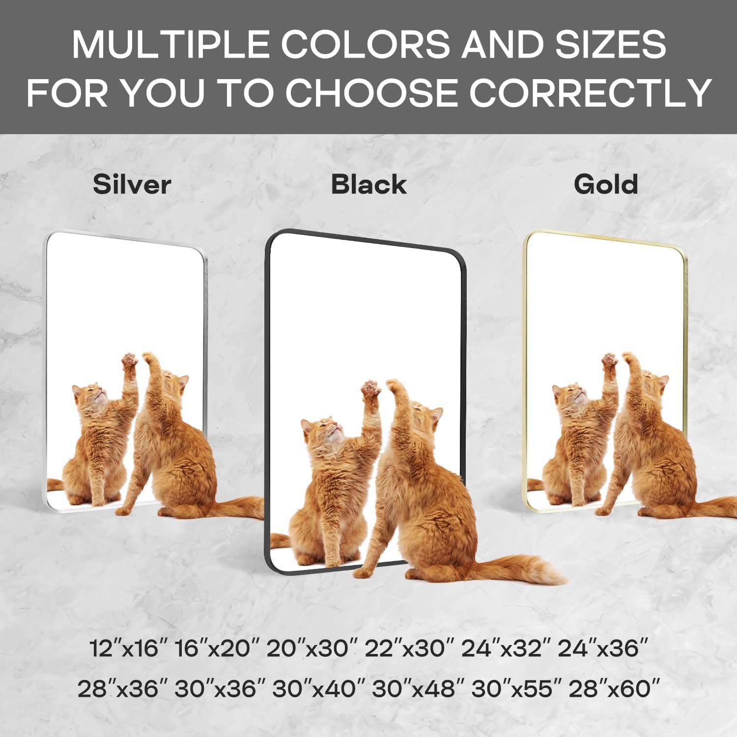Regine Switzerland Black Framed Bathroom Mirror - Matte Rounded Corner Vanity Mirror | 24" x 32", Anti-Rust, Tempered Glass