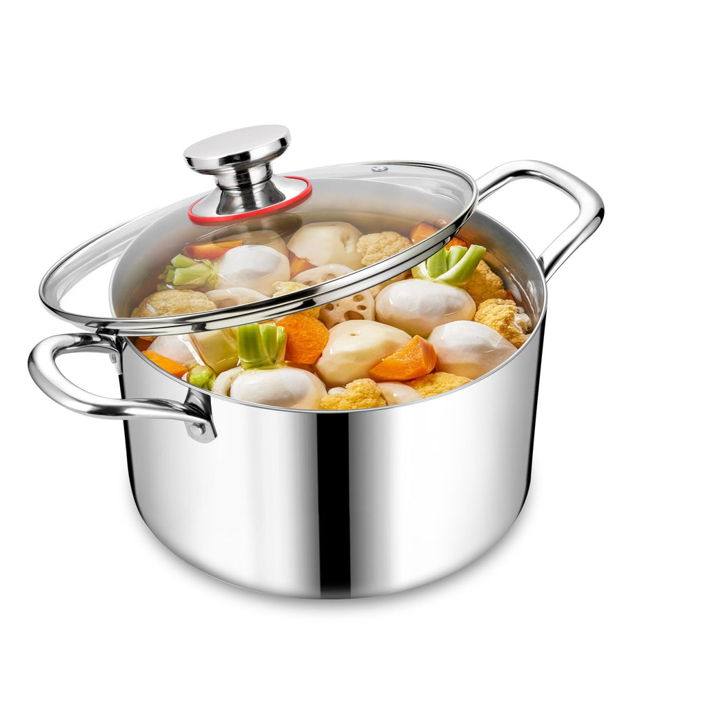 Stainless Steel Stock Pot, Homikit 6QT Large Stockpot with Glass Lid, Heavy Duty Tri-ply Pasta Chicken Soup Pot Induction Cookware for Steaming and Stewing, Dishwasher Safe