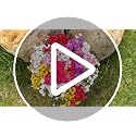UV-Resistant Outdoor Artificial Flowers - 24 Bundles Faux Plants for Porch