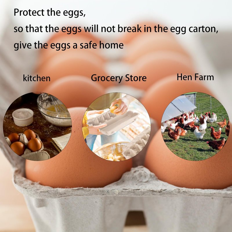 Ccuiicy 20 Pack Egg Cartons Bulk, 3x4 Style Reusable Empty Natural Paper Pulp Egg Cartons, Sturdy Design Egg Holder Containers for Fresh Chicken Eggs