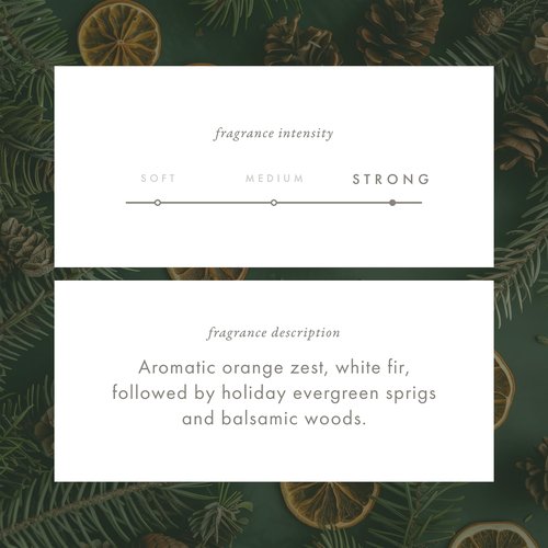 ScentAir Whisper Home Monthly Plug-in Refill, Fragrance Cartridge for Home and Office, Pine Forest