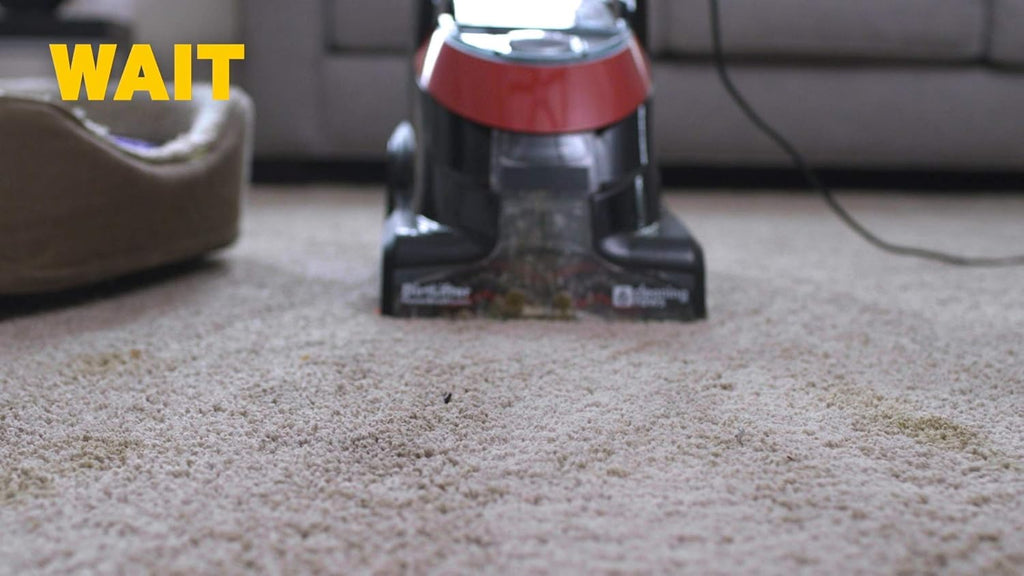 ZEP INC Carpet Shampoo - Powerful Cleaning Solution | 128 Fl Oz for Deep Stain Removal