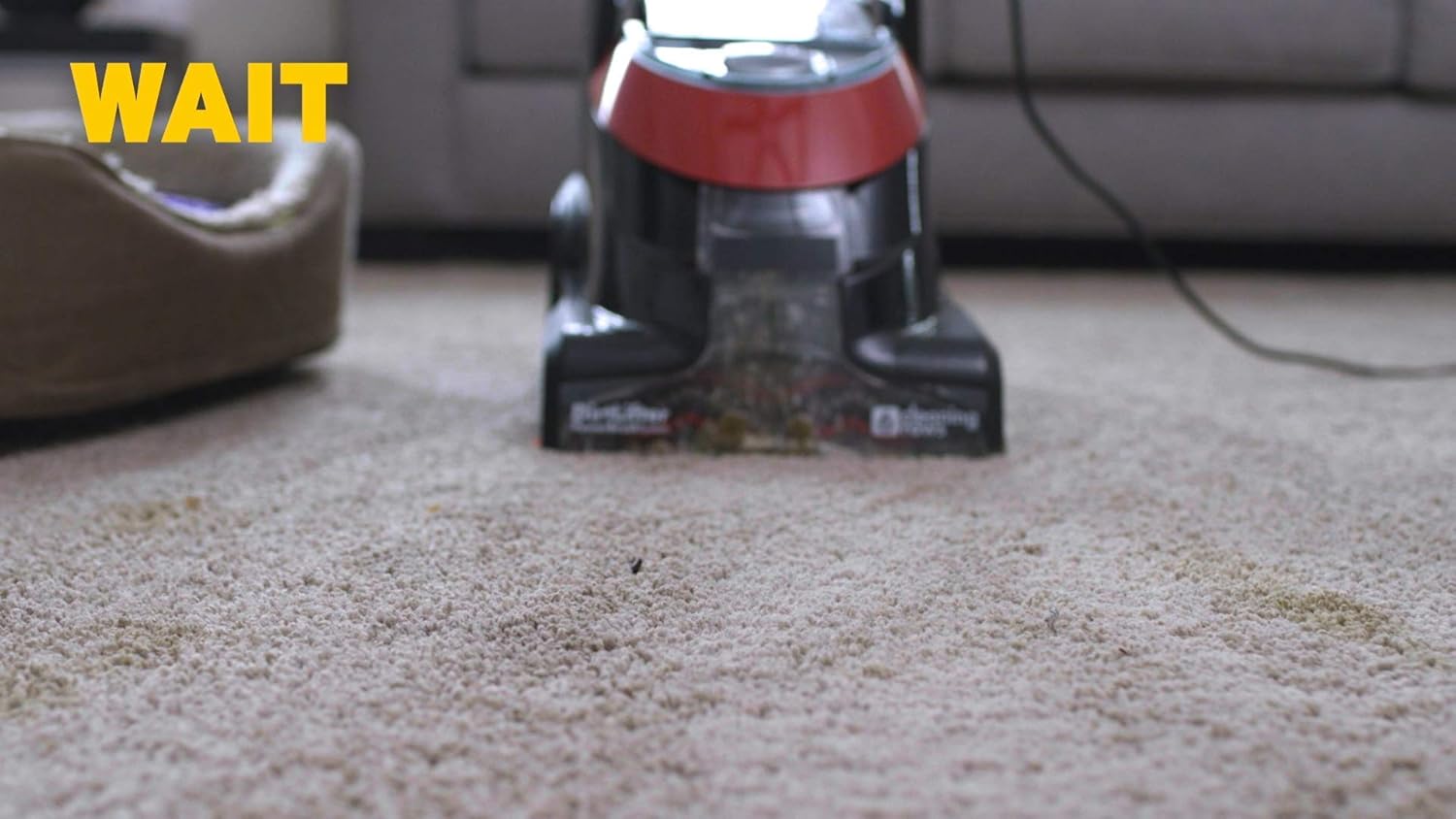 ZEP INC Carpet Shampoo - Powerful Cleaning Solution | 128 Fl Oz for Deep Stain Removal