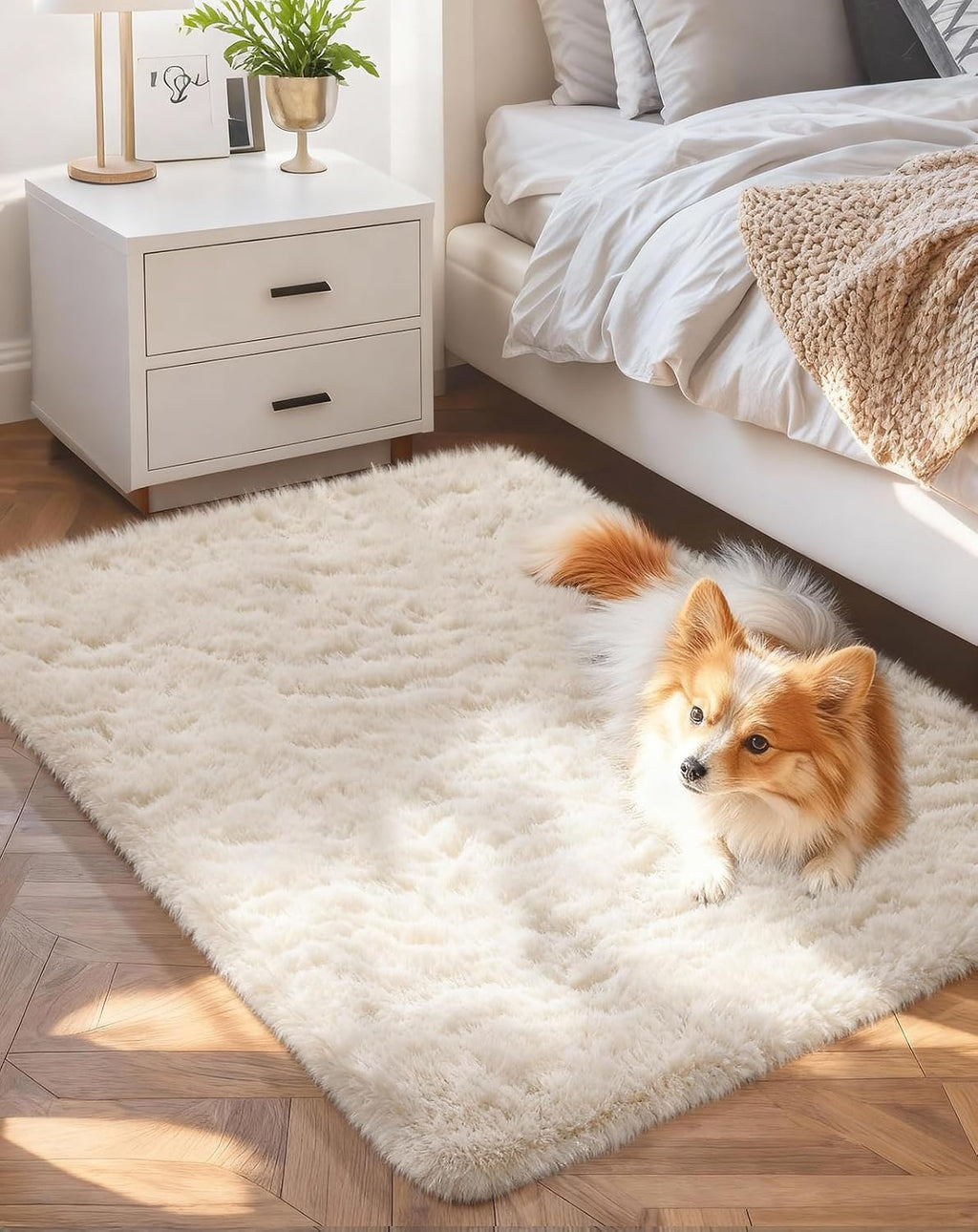 Ophanie Small Ivory Entryway Throw Rug - Soft Non-Slip 2x4 Mini Area Carpet for Home Decor