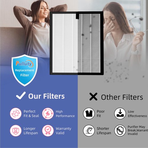 Pulluty HAP603 Replacement Filter for ECOSELF HAP603 Air Purifier,3-in-1 H13 True HEPA High-Efficiency Activated Carbon Filter,4 Pack