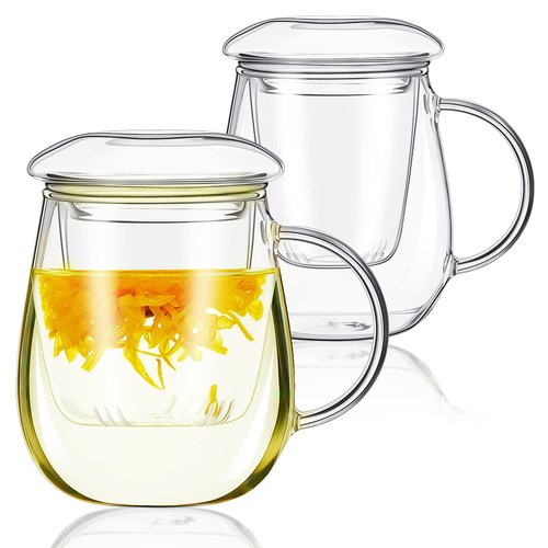 Ritteri Set of 2 Glass Tea Cup with Infuser and Lid - 17.6 oz Thickened Glass Tea Infuser Cup - Simple Filtration for Tea Bags and Loose Leaf Tea