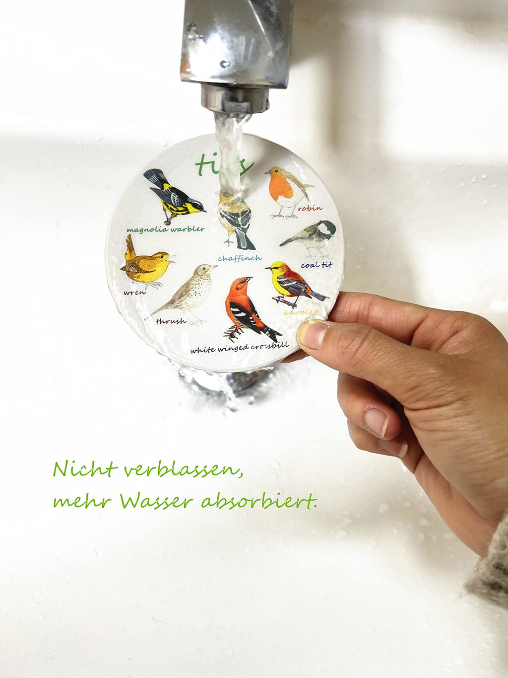 Bird Ceramic Coasters For Drinks with Holder And Cork Base, Set Of 6 All Kinds Of Birds Absorbent Coasters For Coffee Table