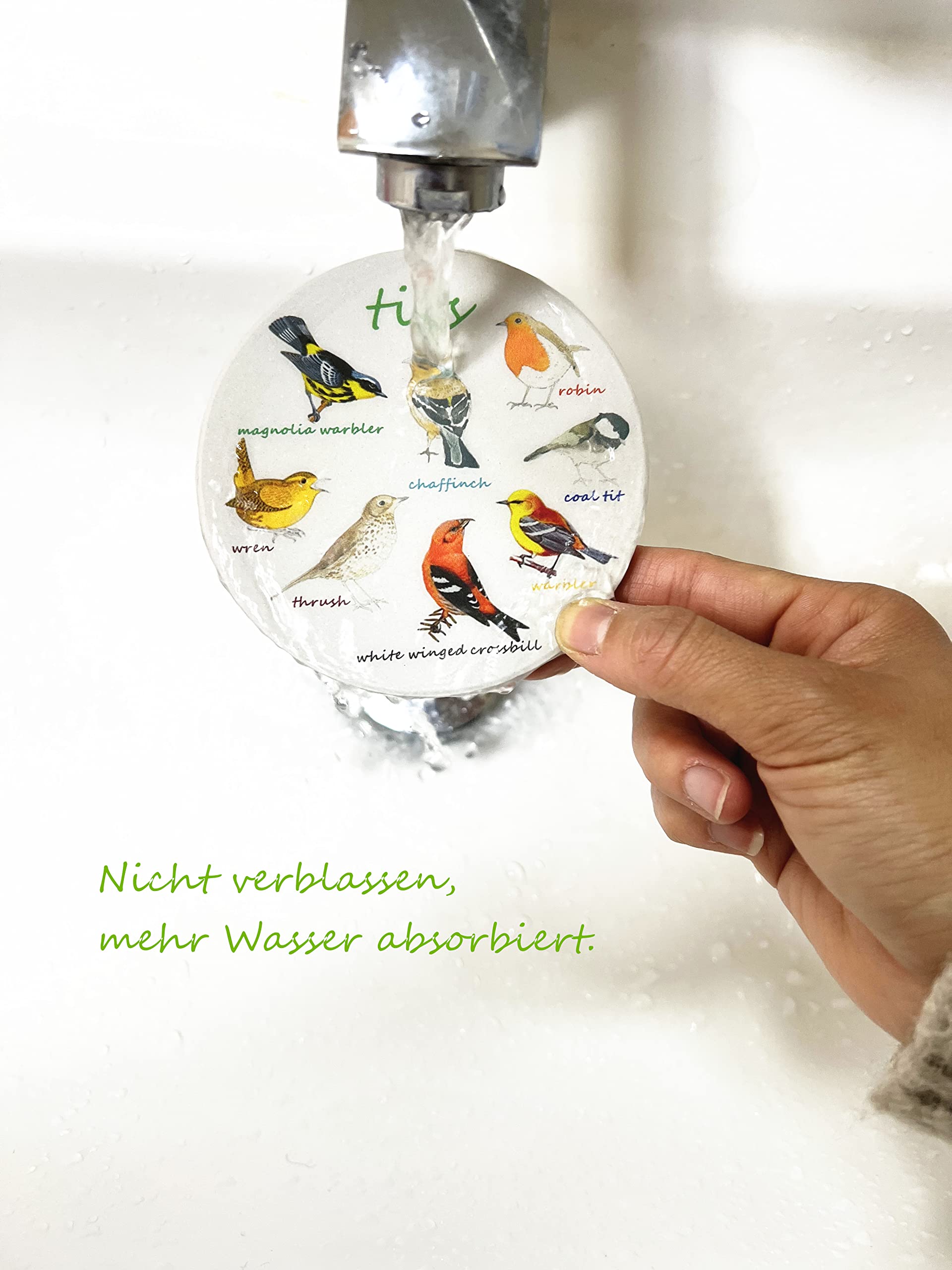 Bird Ceramic Coasters For Drinks with Holder And Cork Base, Set Of 6 All Kinds Of Birds Absorbent Coasters For Coffee Table