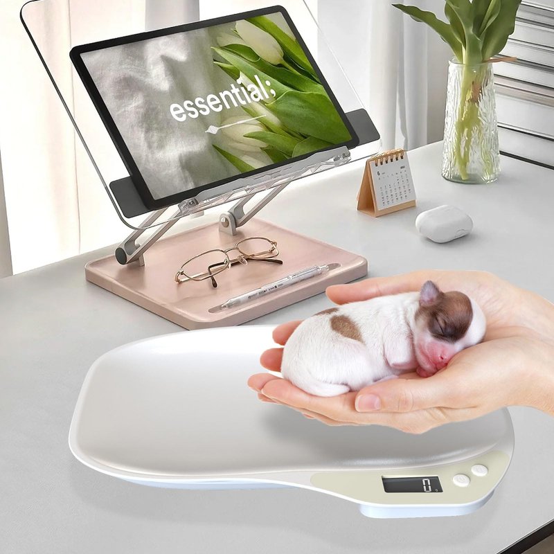 YTDTKJ Mini Pet Scale, Small Animals Scales for Weighing, Digital Kitchen Scale with LED Display, Small Home Scale, Portable Dog Cat Scale for Hamster Rabbit Hedgehog, Max. 33 lbs, 14.1x10in