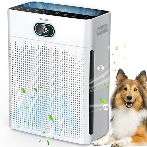 **Air Purifiers | HEPA Air Purifier with Pet Mode & Timer for Up to 2200 Ft² - Black**