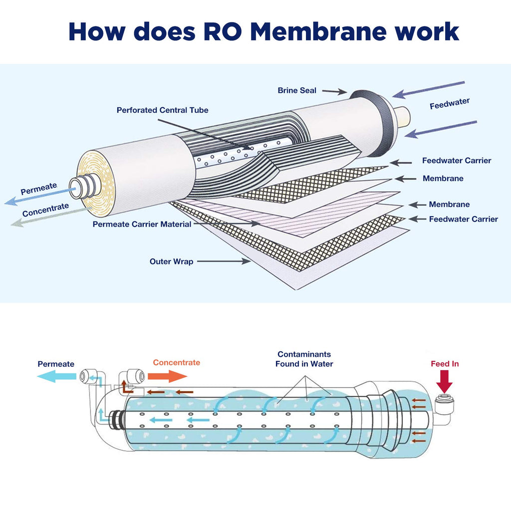 Membrane Solutions 400 GPD RO Membrane, Reverse Osmosis Membrane with Membrane Housing, 1/4" Quick-Connect Fittings, Check Valve, Replacement for Under Sink Home Drinking RO Water Filter System