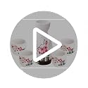 Old Craftsmen's Japanese Sake Set 5 Pcs 200ml Bottle & 50ml Cups Traditional Ceramic Sakura Design
