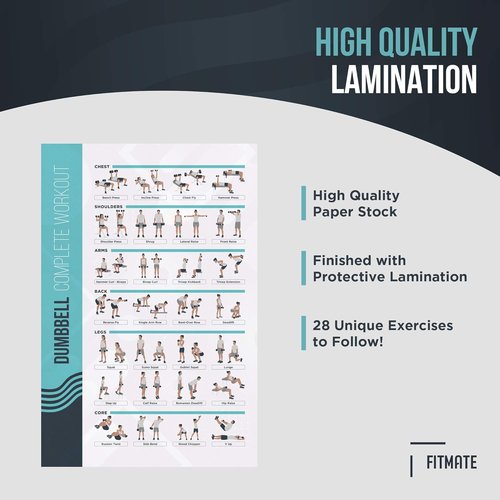 FitMate Dumbbell Workout Poster - Free Weights Routine Guide for Home Gym Decor (16.5 x 25 Inch)