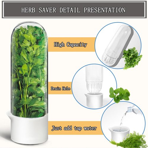 Rkssws Herb Saver for Refrigerator, Cilantro Container for Fridge, Fresh Herbs Lettuce Keeper for Refrigerator Parsley Mint Leaves Fresh Herb Keeper, Refrigerato Storage for Fresh for 2-3 Weeks
