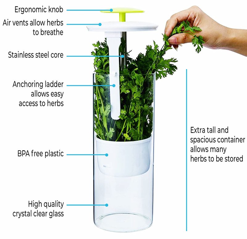 NOVART XXL Herb Keeper and Herb Saver – Glass Storage Container for Cilantro, Mint, Parsley, Asparagus, Keeps Greens Fresh for 2-3 Weeks