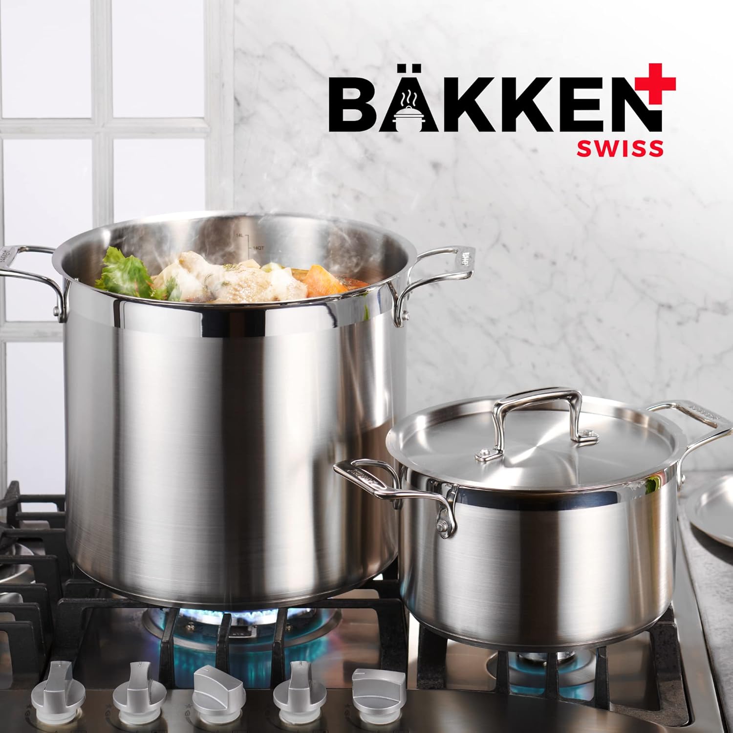 Stainless Steel Stockpot by [Brand Name] - 2 Quart Durable Design with Impact-Bonded Base & Riveted Handles
