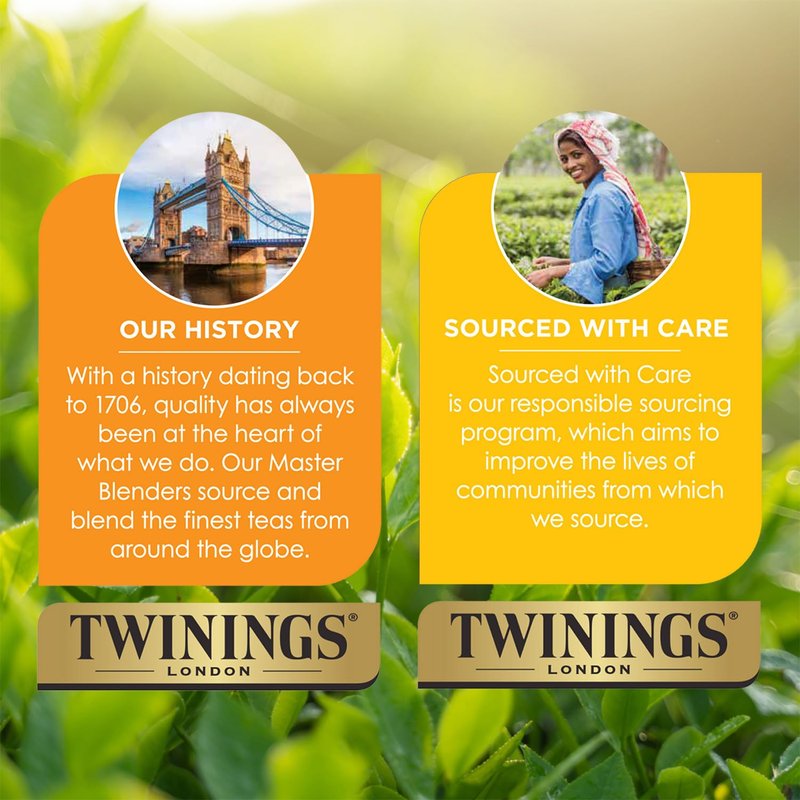 Twinings Green Tea with Pomegranate, Raspberry, and Strawberry - Caffeinated Green Tea Bags Individually Wrapped, 20 Count (Pack of 2) 