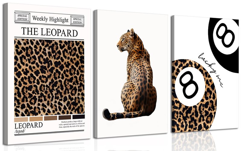 Set of 3 Trendy Leopard Canvas Wall Art Funky Lucky 8 Ball Posters Prints Preppy Room Aesthetic Cheetah Wall Decor Pictures for Girly Bedroom Apartment Dorm 16x24in