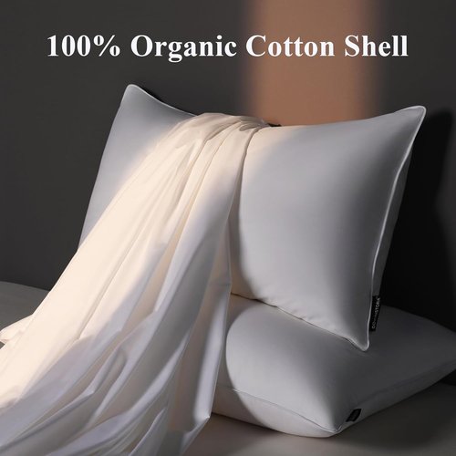 DOWNSTORIA Goose Feather Down Pillows - Queen Size Hotel Collection | Soft Medium Firm Set of 2 (20 x 30 in)